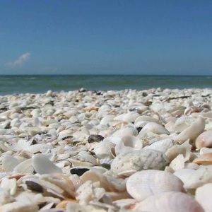 Meet your Posher, Teri